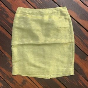 J.Crew Skirt Size 4
